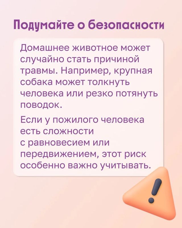 Можно ли пожилому человеку завести питомца? Можно ли пожилому человеку завести питомца?