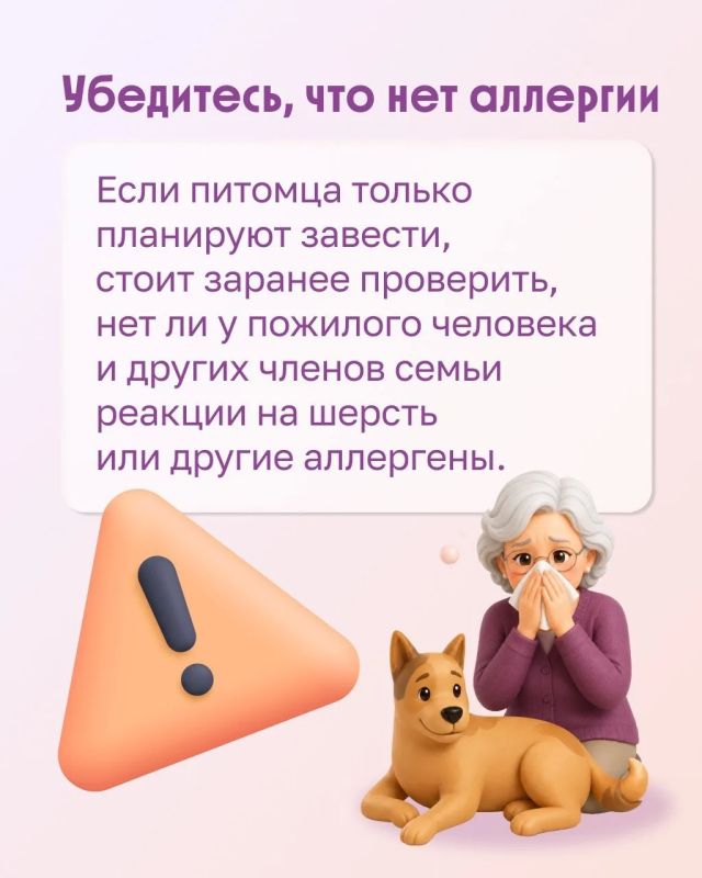 Можно ли пожилому человеку завести питомца? Можно ли пожилому человеку завести питомца?