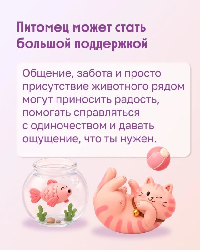 Можно ли пожилому человеку завести питомца? Можно ли пожилому человеку завести питомца?