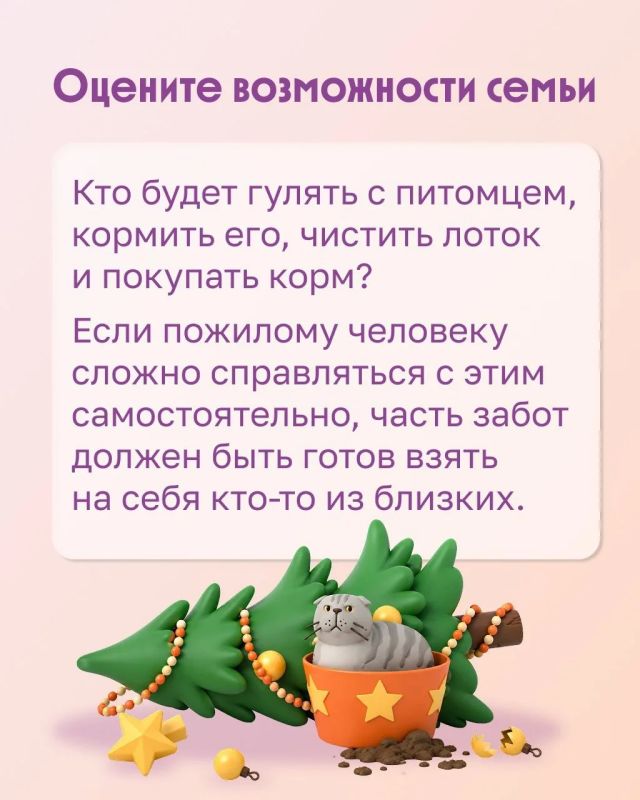 Можно ли пожилому человеку завести питомца? Можно ли пожилому человеку завести питомца?
