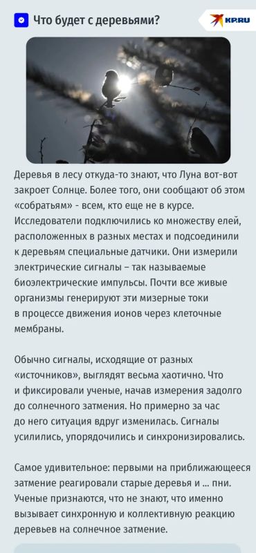 Во время полного солнечного затмения 12 августа 2026 в небе исчезнут облака Во время полного солнечного затмения 12 августа 2026 в небе исчезнут облака