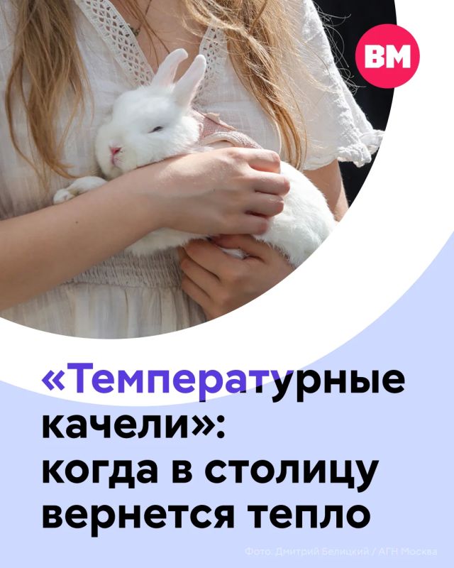 15 градусов тепла в середине августа, конечно, впечатляют… Неужели лето попрощалось со столицей?