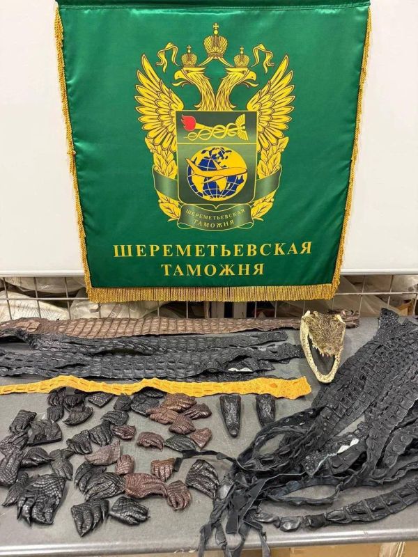В аэропорту Шереметьево таможенники нашли в багаже прилетевшего из Китая пассажира целую коллекцию — 64 фрагмента крокодилов (головы, лапы и кожу) В аэропорту Шереметьево таможенники нашли в багаже прилетевшего из Китая пассажира целую коллекцию — 64 фрагмента крокодилов (головы, лапы и кожу)