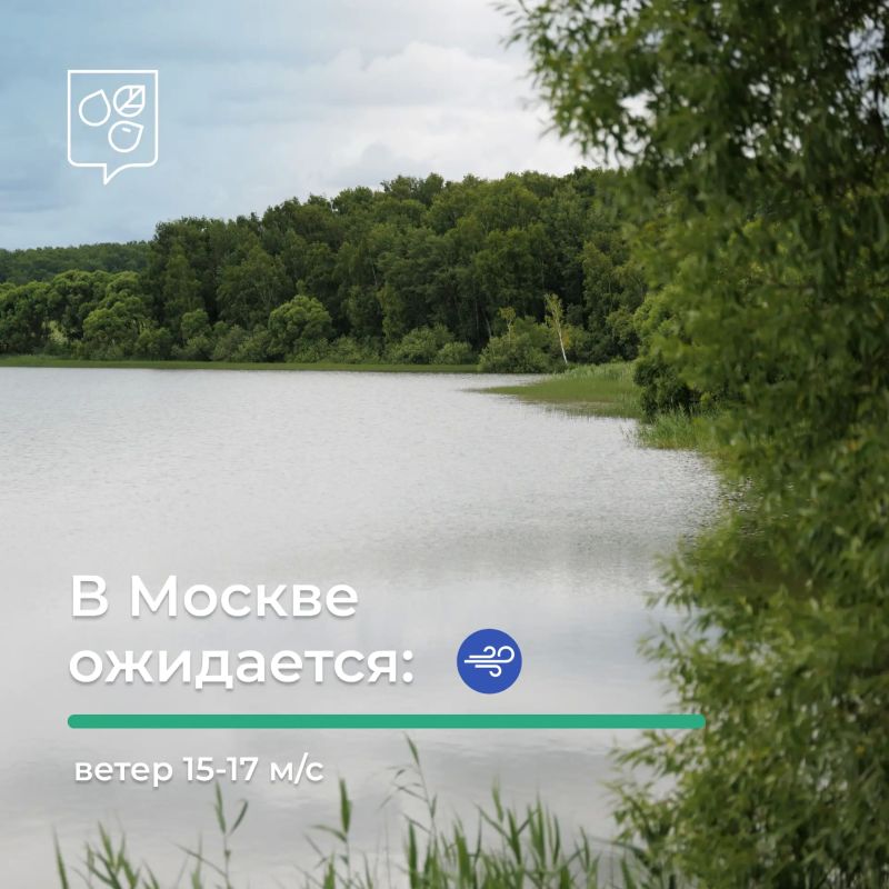 В Москве непогода. По прогнозам синоптиков, в ближайшие часы и до конца дня 13 августа в отдельных районах столицы ожидается усиление ветра