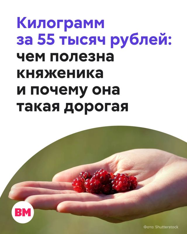 55 тысяч рублей за килограмм: в Москву завезли княженику — редкую северную ягоду