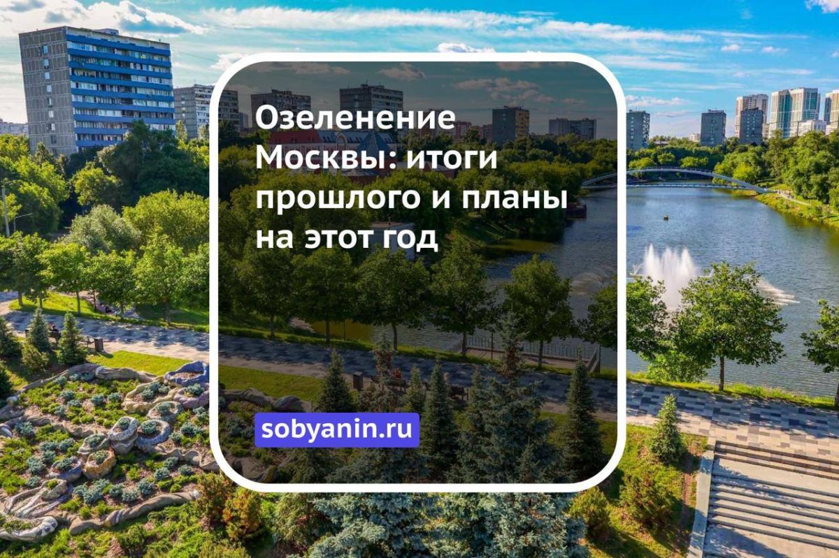 Пешая прогулка среди деревьев — один из самых простых способов достичь умиротворения