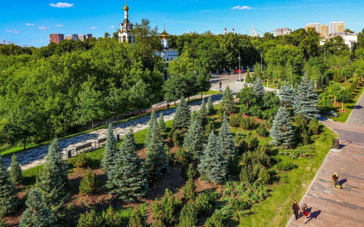 Пешая прогулка среди деревьев — один из самых простых способов достичь умиротворения Пешая прогулка среди деревьев — один из самых простых способов достичь умиротворения