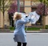 Сильный ветер сохранится в Москве в пятницу, 14 августа