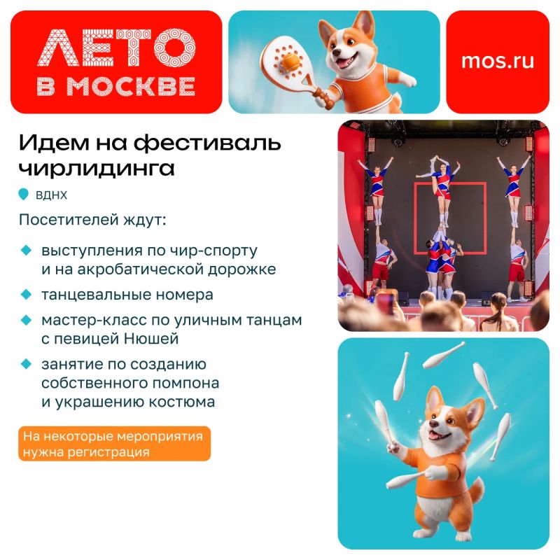 Еще не придумали, чем заняться в выходные? В эти субботу и воскресенье вас ждет множество мероприятий — от концертов до соревнований и выставки-пристройства Еще не придумали, чем заняться в выходные? В эти субботу и воскресенье вас ждет множество мероприятий — от концертов до соревнований и выставки-пристройства