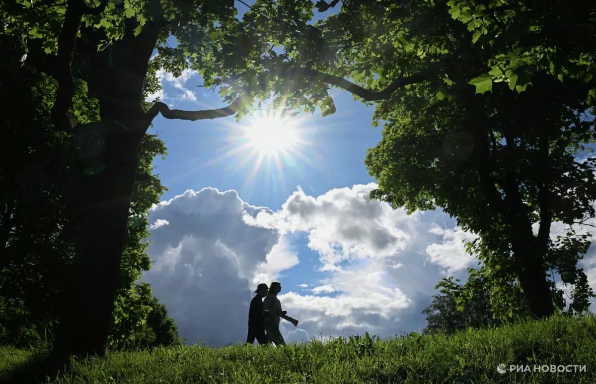 Летнее тепло вернется в Москву на выходных