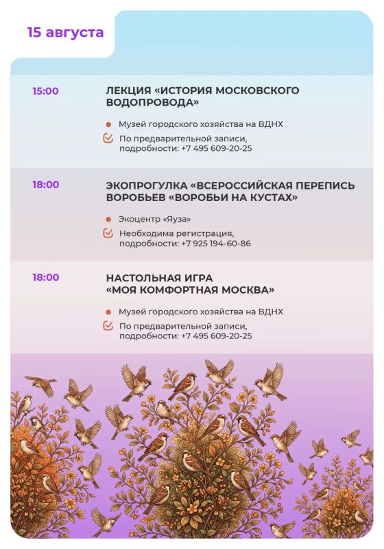 В рубрике #выходныескгх собрали для вас идеи для активного и познавательного отдыха В рубрике #выходныескгх собрали для вас идеи для активного и познавательного отдыха