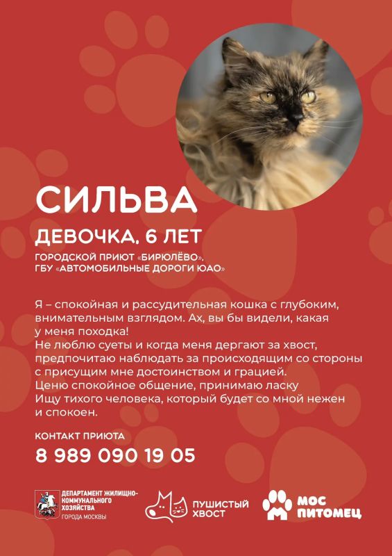 Пушистые друзья уже ждут встречи с вами! Пушистые друзья уже ждут встречи с вами!