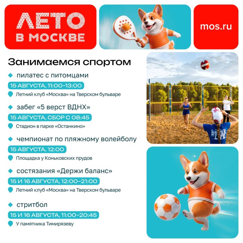 Еще не придумали, чем заняться в выходные? В эти субботу и воскресенье вас ждет множество мероприятий — от концертов до соревнований и выставки-пристройства Еще не придумали, чем заняться в выходные? В эти субботу и воскресенье вас ждет множество мероприятий — от концертов до соревнований и выставки-пристройства