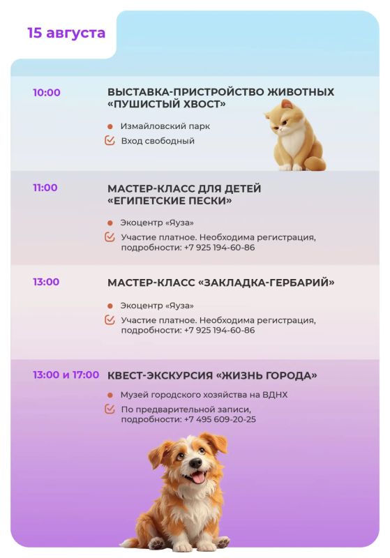 В рубрике #выходныескгх собрали для вас идеи для активного и познавательного отдыха В рубрике #выходныескгх собрали для вас идеи для активного и познавательного отдыха