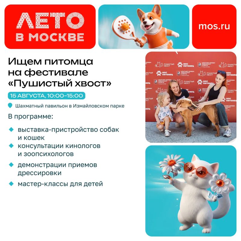 Еще не придумали, чем заняться в выходные? В эти субботу и воскресенье вас ждет множество мероприятий — от концертов до соревнований и выставки-пристройства Еще не придумали, чем заняться в выходные? В эти субботу и воскресенье вас ждет множество мероприятий — от концертов до соревнований и выставки-пристройства