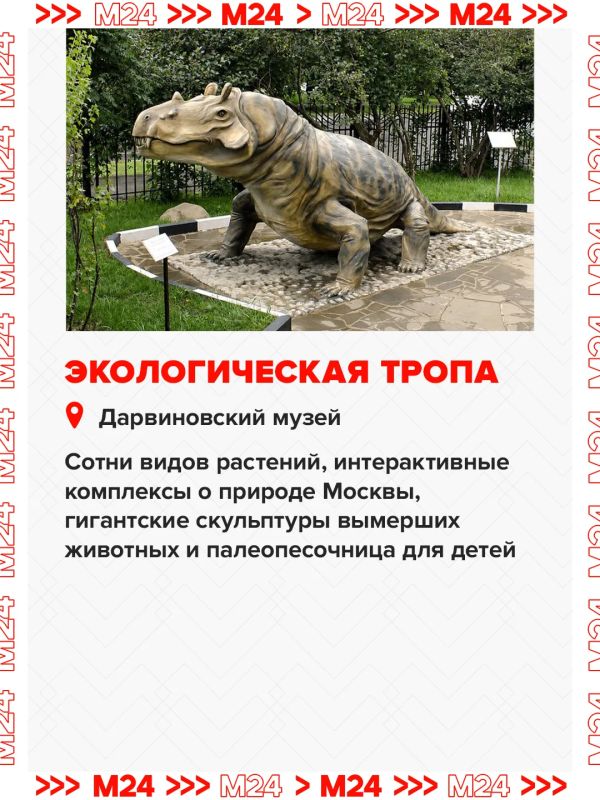 Чуть больше двух недель осталось до осени — чуть больше двух недель, чтобы опробовать все бесплатные активности «Лета в Москве» Чуть больше двух недель осталось до осени — чуть больше двух недель, чтобы опробовать все бесплатные активности «Лета в Москве»