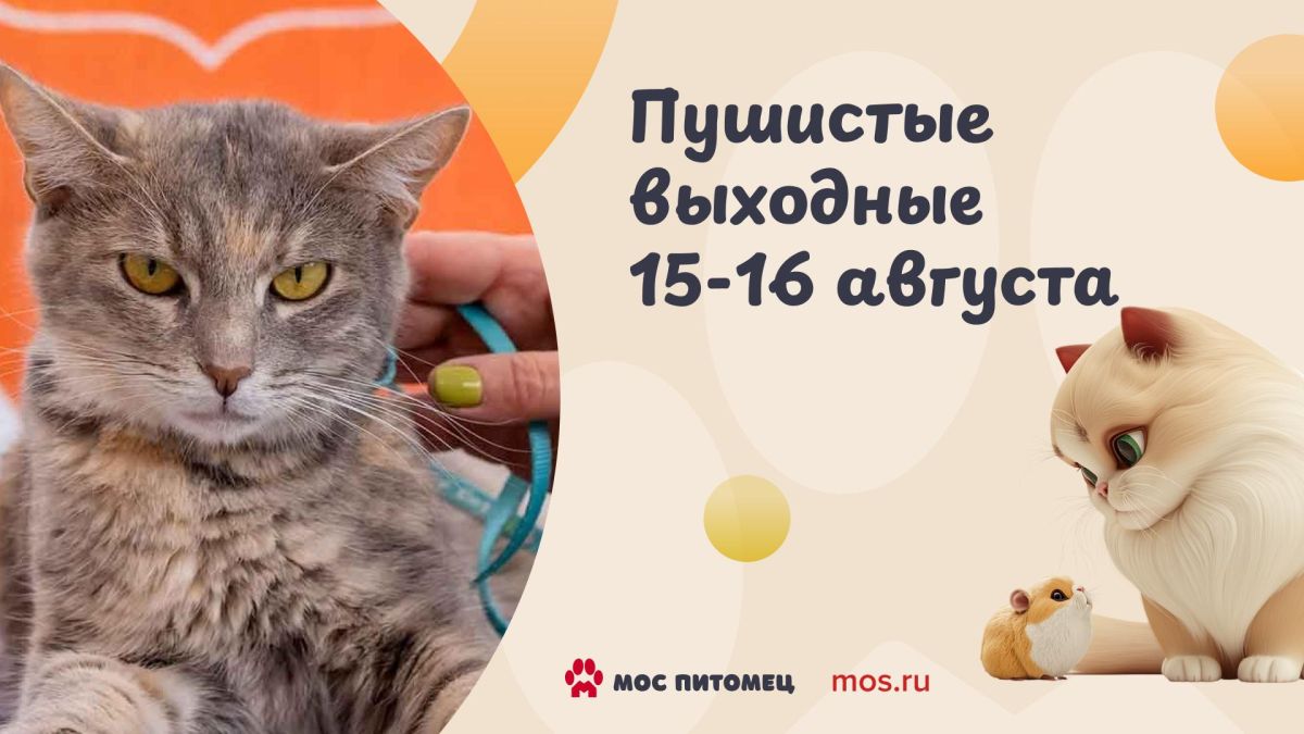 Проводим выходные вместе с пушистыми друзьями!