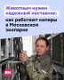 � ���������� �������� ���������� � ������ ������� � ������������, ������� ������ ���� ��������� �� ���������