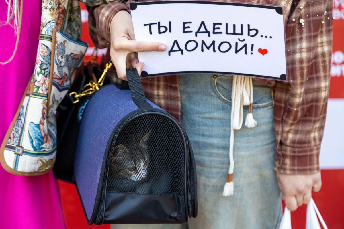 Немного атмосферы сегодняшнего дня Немного атмосферы сегодняшнего дня