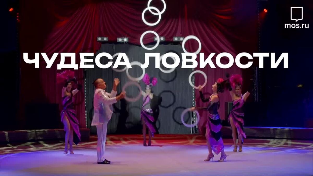 Зрелищные шоу, чудеса ловкости, яркие костюмы — это и многое другое ждет вас на цирковых представлениях в парке «Сокольники»