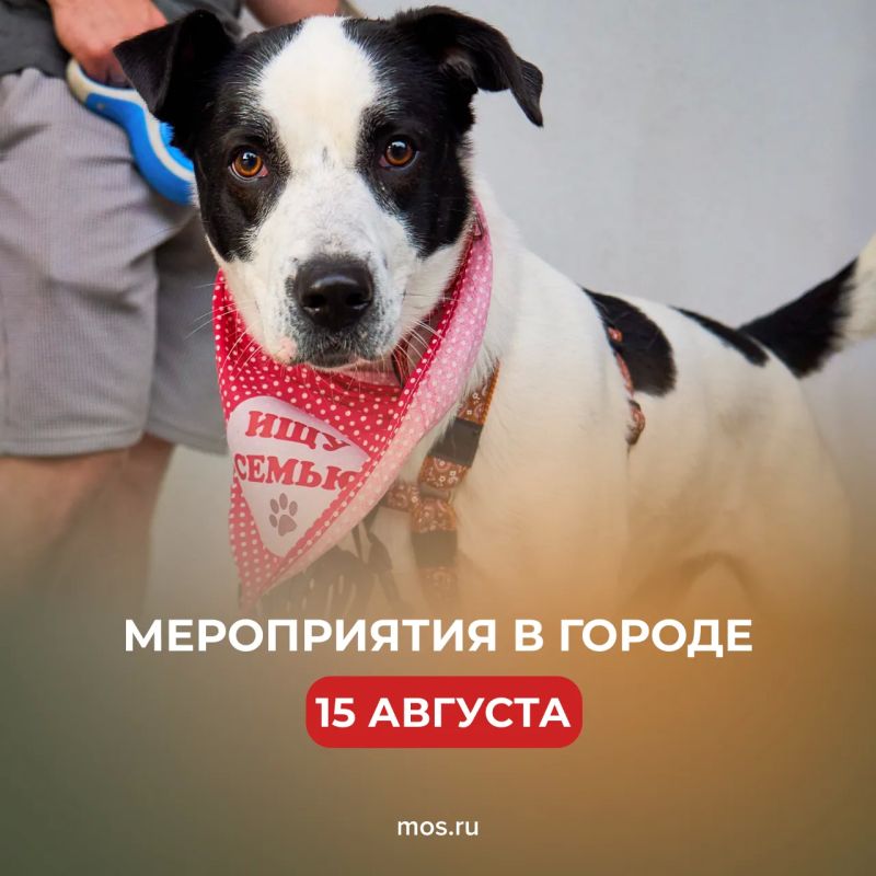 Чем заняться в субботу? Собрали идеи в нашем дайджесте