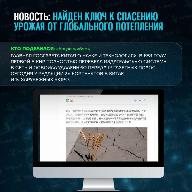 ОБЗОР МАТЕРИАЛОВ TV BRICS В ЗАРУБЕЖНЫХ МЕДИА ОБЗОР МАТЕРИАЛОВ TV BRICS В ЗАРУБЕЖНЫХ МЕДИА