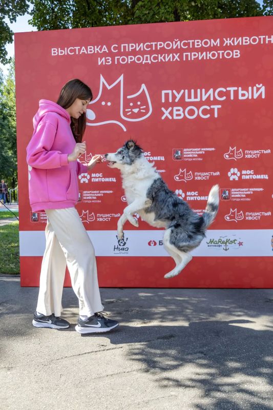 Немного атмосферы сегодняшнего дня Немного атмосферы сегодняшнего дня