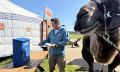Реконструкция единственной в мире действующей «Верблюжьей почты» открылась в Подмосковье — одно из первых писем отправили Путину, который увлекается коллекционированием почтовых марок