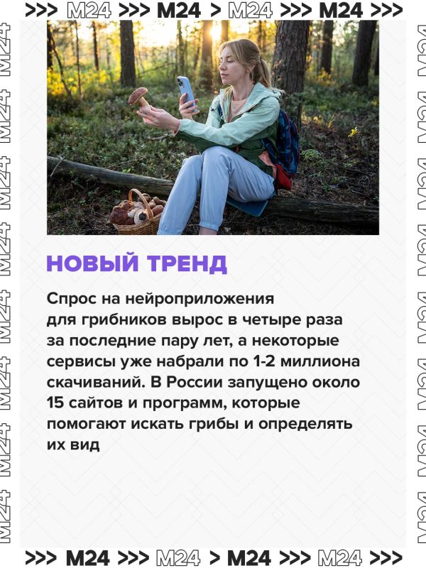 Спрос на нейроприложения для грибников за последние два года взлетел в четыре раза Спрос на нейроприложения для грибников за последние два года взлетел в четыре раза