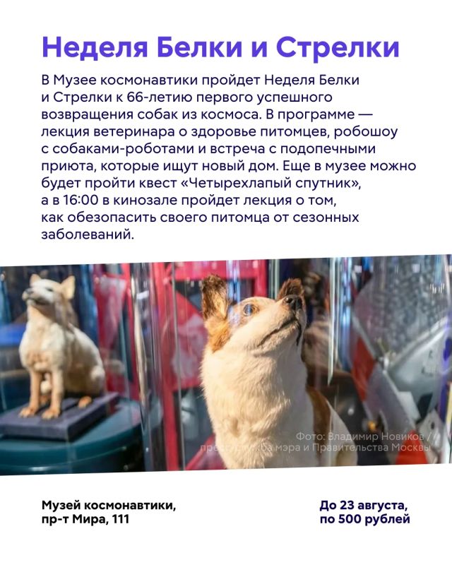 Новая неделя — новые рекомендации! Новая неделя — новые рекомендации!