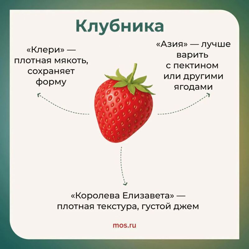 Сезон свежих ягод на московских ярмарках в самом разгаре Сезон свежих ягод на московских ярмарках в самом разгаре