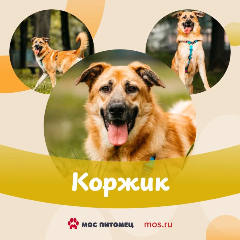 Эти хорошие мальчики точно знают, как сделать день ярче Эти хорошие мальчики точно знают, как сделать день ярче