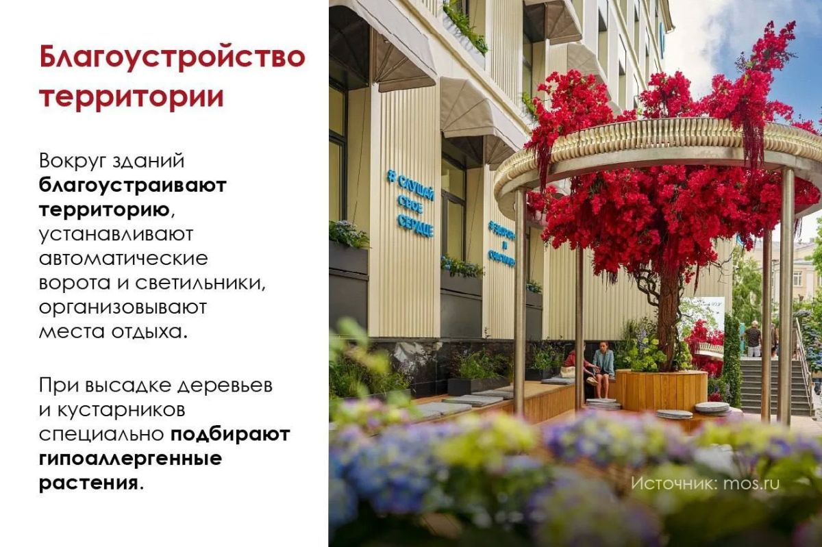 Поликлиника начинается не с кабинета врача Поликлиника начинается не с кабинета врача