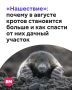 В сети заговорили о нашествии кротов — будто в Московской области их стало чуть ли не вдвое больше