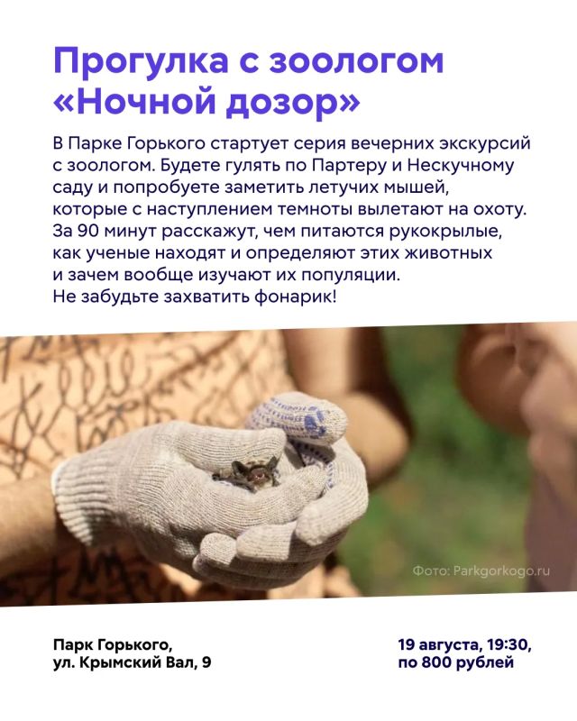 Новая неделя — новые рекомендации! Новая неделя — новые рекомендации!