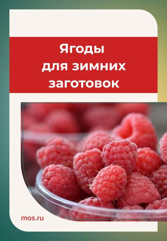 Сезон свежих ягод на московских ярмарках в самом разгаре