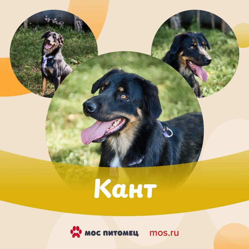 Эти хорошие мальчики точно знают, как сделать день ярче Эти хорошие мальчики точно знают, как сделать день ярче