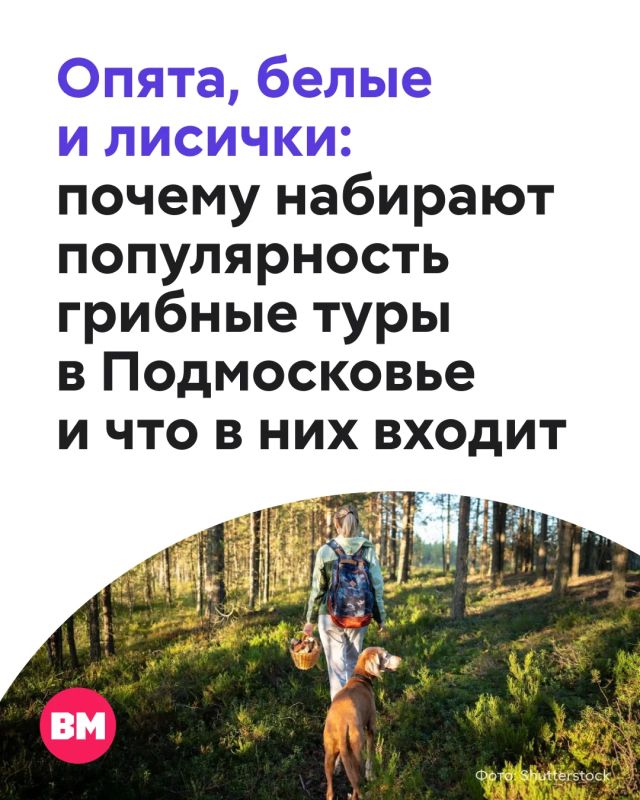 Для многих тихая охота — «секретное оружие» против стресса