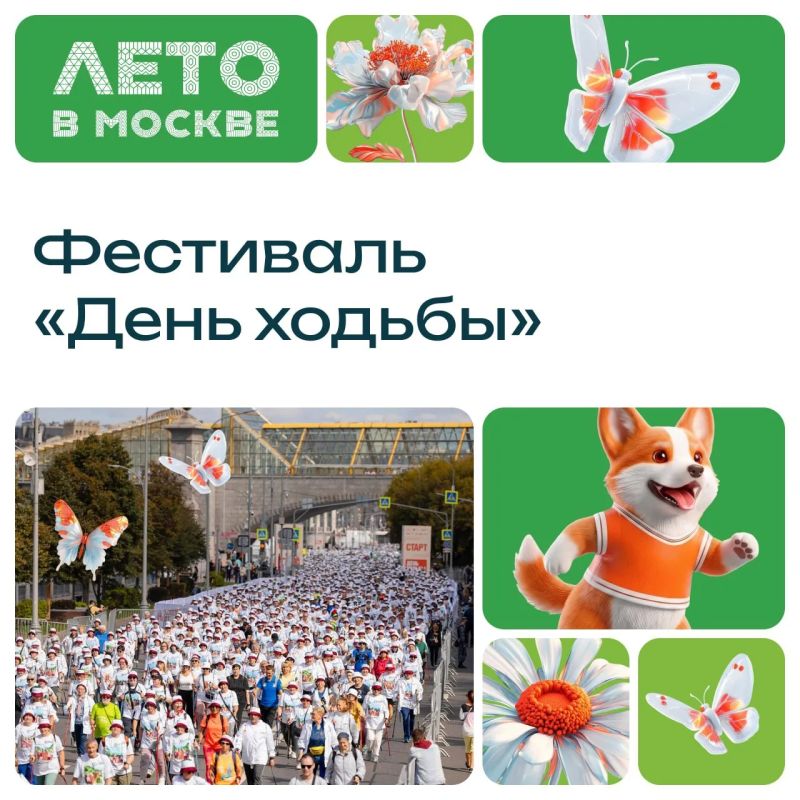 Шагаем по Москве! В столице пройдет «День ходьбы» — массовая прогулка вдоль живописной набережной