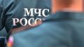 Военнослужащим МЧС могут разрешить применять физическую силу и огнестрельное оружие