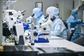 Московские предприятия за полгода нарастили производство почти в три раза быстрее, чем за весь прошлый год