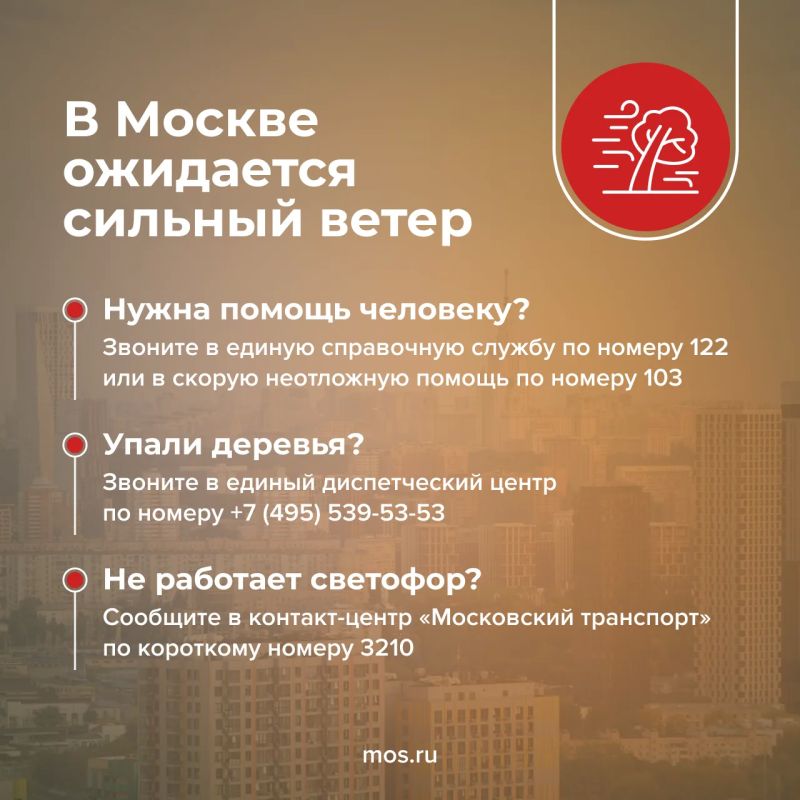 Сегодня в Москве прогнозируют кратковременные дожди и сильный ветер