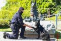Мужество человека и чувство собаки — союз, на котором держится безопасность!