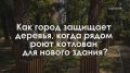 � ������� � ������: ��� � ������ �������� �������