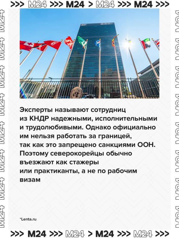 Российским компаниям предложили нанимать работниц из КНДР на зарплату в 150 тысяч рублей в месяц Российским компаниям предложили нанимать работниц из КНДР на зарплату в 150 тысяч рублей в месяц