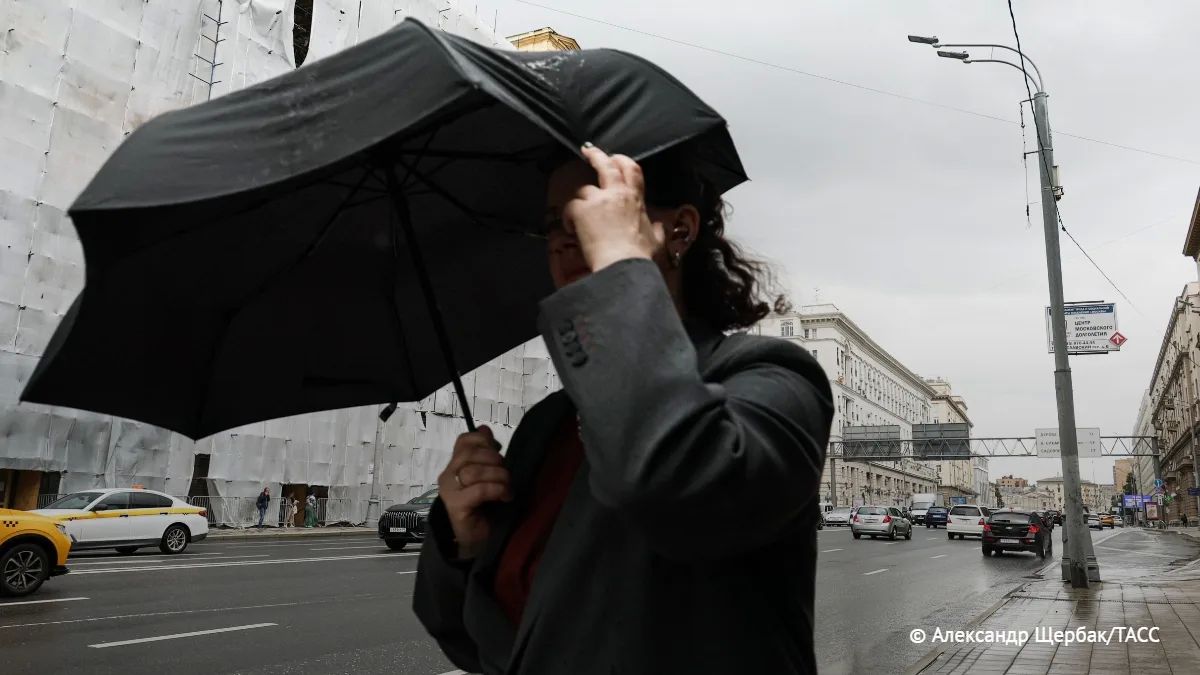 Дождь ожидается предстоящей ночью в Москве и Подмосковье, по области местами он может быть сильным