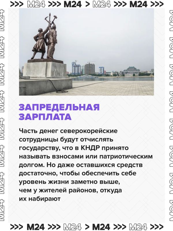 Российским компаниям предложили нанимать работниц из КНДР на зарплату в 150 тысяч рублей в месяц Российским компаниям предложили нанимать работниц из КНДР на зарплату в 150 тысяч рублей в месяц