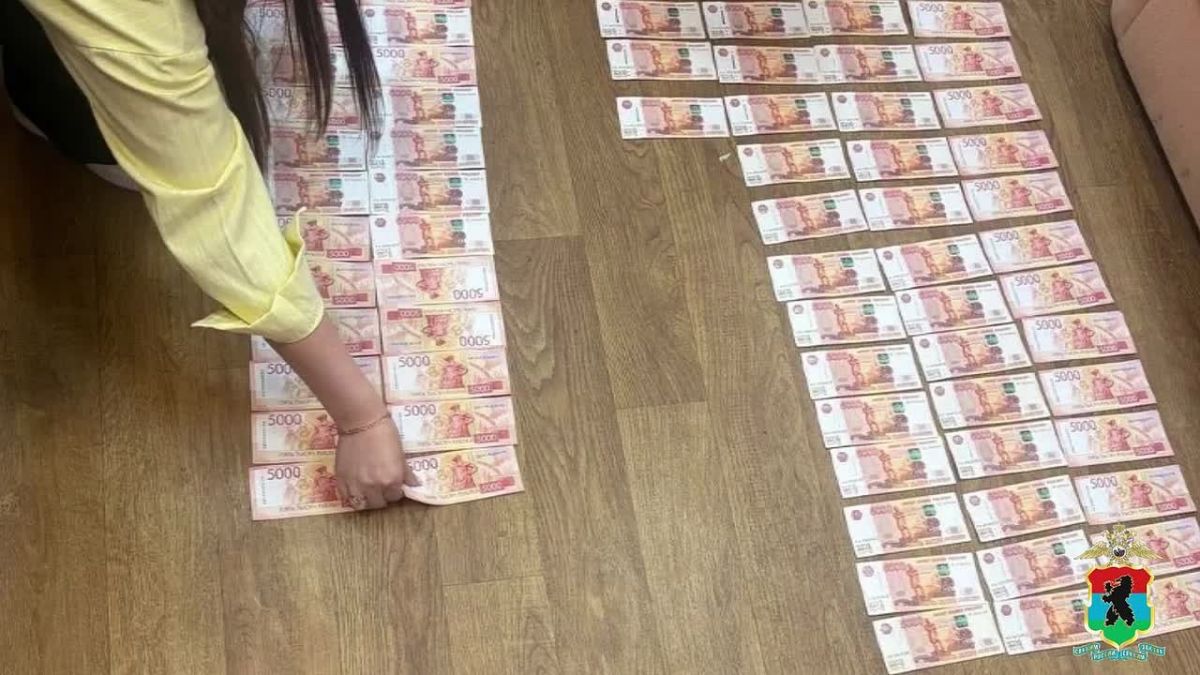 12 городов и фальшивый диплом