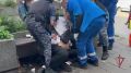 Два спасения за сутки: сотрудники Росгвардии пришли на помощь гражданам Первое происшествие случилось в центре Москвы на Комсомольской площади. Благодаря быстрой реакции московских росгвардейцев удалось стабилизировать...
