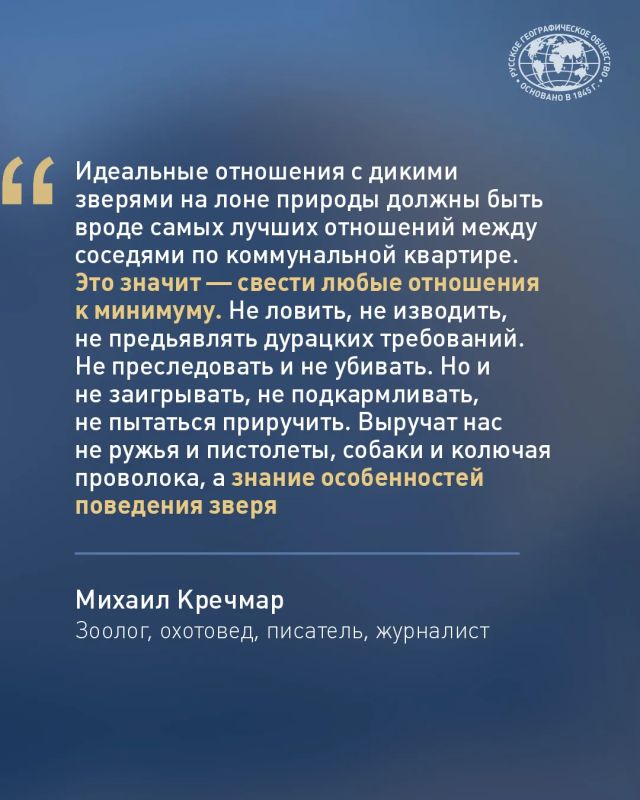 Встретить медведя в России может едва ли не каждый Встретить медведя в России может едва ли не каждый